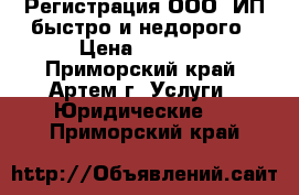 Регистрация ООО, ИП быстро и недорого › Цена ­ 1 000 - Приморский край, Артем г. Услуги » Юридические   . Приморский край